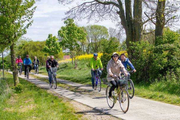 Eine Radgruppe fährt durch eine grüne Landschaft